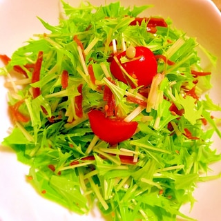 水菜とトマトとスナップえんどうの生姜佃煮サラダ